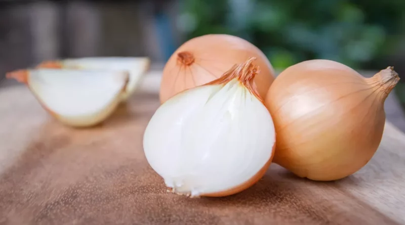 L'oignon est un aliment de base dans de nombreuses cultures à travers le monde, utilisé pour ajouter de la saveur et de la texture à de nombreux plats différents. Il existe de nombreuses variétés d'oignons, chacune ayant ses propres qualités uniques, et ils peuvent être utilisés crus ou cuits.