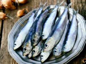 La sardine est un poisson communément pêché dans les eaux côtières du monde entier. C'est un poisson petit et argenté, qui vit en bancs denses dans les eaux côtières de l'océan Atlantique, de la Méditerranée et du Pacifique. Elle est souvent utilisée comme ingrédient dans de nombreux plats, en raison de sa saveur douce et de sa texture tendre.