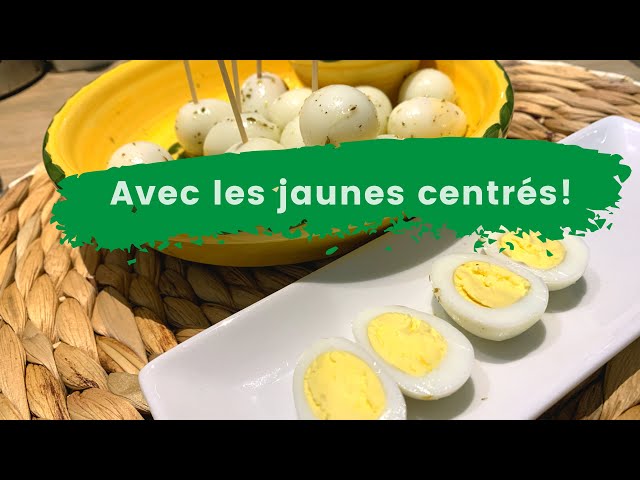 Les œufs de caille sont de petits trésors nutritionnels souvent négligés, mais qui méritent toute notre attention. Ces petits œufs d'apparence modeste renferment un potentiel nutritif surprenant, rivalisant même parfois avec les œufs de poule. Dans cet article, nous explorerons les bienfaits des œufs de caille, leurs utilisations culinaires et leur impact sur la santé.