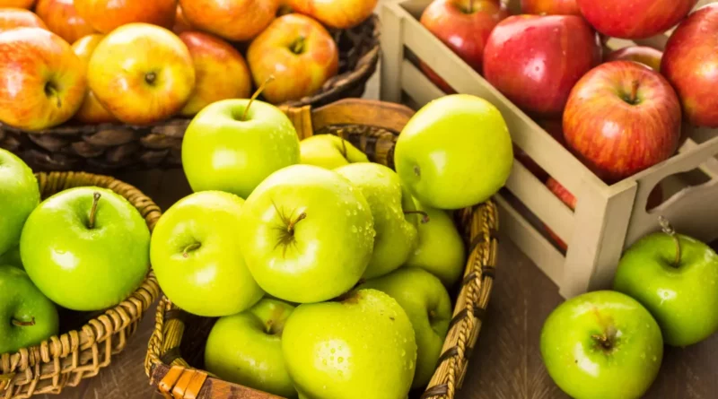 La pomme est bien plus qu'un simple fruit. Elle est un symbole de santé, de diversité et de délice. Qu'elle soit croquée à pleines dents lors d'une balade d'automne ou dégustée sous forme de dessert raffiné, la pomme a une place spéciale dans notre alimentation et notre culture. Alors, la prochaine fois que vous croquerez dans une pomme, souvenez-vous qu'elle est bien plus qu'un simple fruit - c'est un petit trésor de bienfaits pour la santé et de plaisir gustatif.