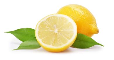 Le citron est bien plus qu'un simple agrume. C'est un aliment qui regorge de bienfaits pour la santé et qui apporte une touche de fraîcheur et de saveur à de nombreux plats.